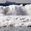 elporto_0375