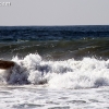 elporto_0457
