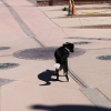 4corners_8163