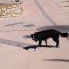 4corners_8164