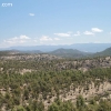 gilaforest_5089