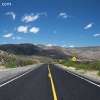 gilaforest_5101