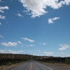 gilaforest_5103