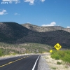 gilaforest_5107