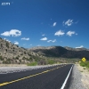 gilaforest_5108