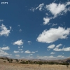 gilaforest_5132