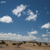 gilaforest_5133
