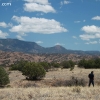 gilaforest_5134