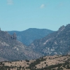 gilaforest_5136