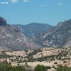 gilaforest_5137