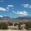 gilaforest_5138