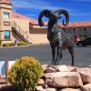 grandcanyon_7818