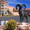 grandcanyon_7819