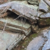 horsetailfalls_0460