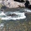 horsetailfalls_0462