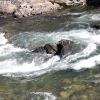 horsetailfalls_0467