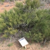 hovenweep_8251
