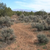 hovenweep_8252
