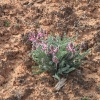 hovenweep_8253