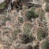 hovenweep_8256