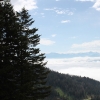 idaho_5920