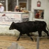 idaho_5974