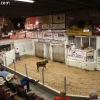 idaho_5979