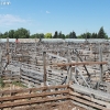 idaho_5989