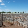 idaho_5990