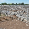 idaho_5993