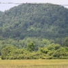 jimbeam_6264