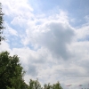 jimbeam_6265