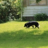 jimbeam_6271