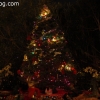 newyearseve2013_6534