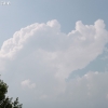 livinup_3012