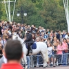 sights_7232