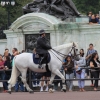 sights_7237