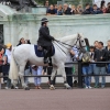 sights_7238