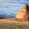 moab_8331