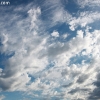 custer_4245