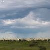 custer_4251