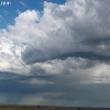 custer_4254