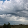 custer_4255