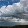 custer_4256