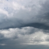 custer_4257