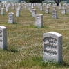 custer_4307