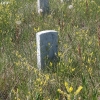 custer_4321