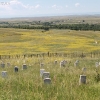 custer_4322