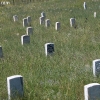 custer_4324