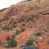 naturalbridges_8460